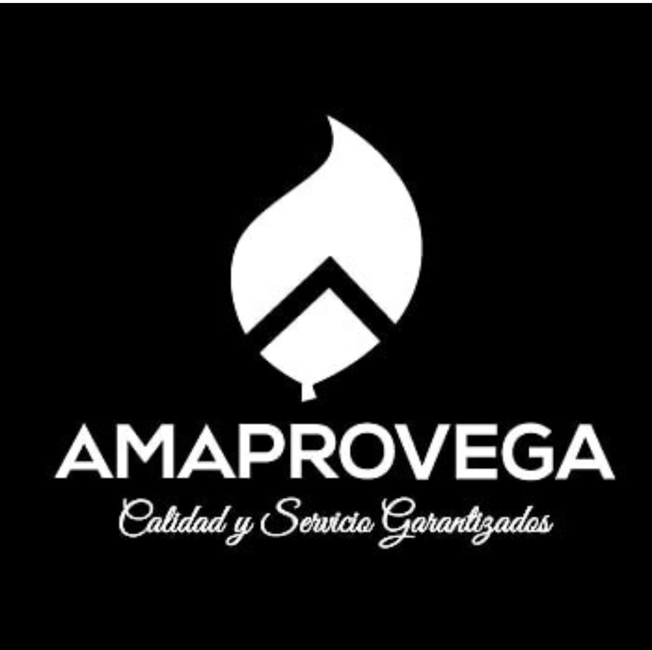 Samanes Brisas del Este inmobiliaria flyer diseño